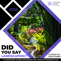 Clearing-Buddy-May-11