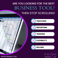 Prism Nov - Nov Post 6