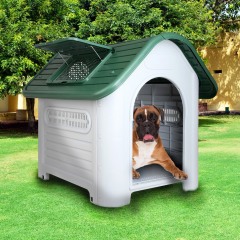 PET-DH-P419-GN-00