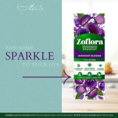 Sparkle & Shine June Posts - 4