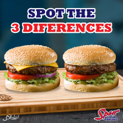 Spur-Spot-the-Difference